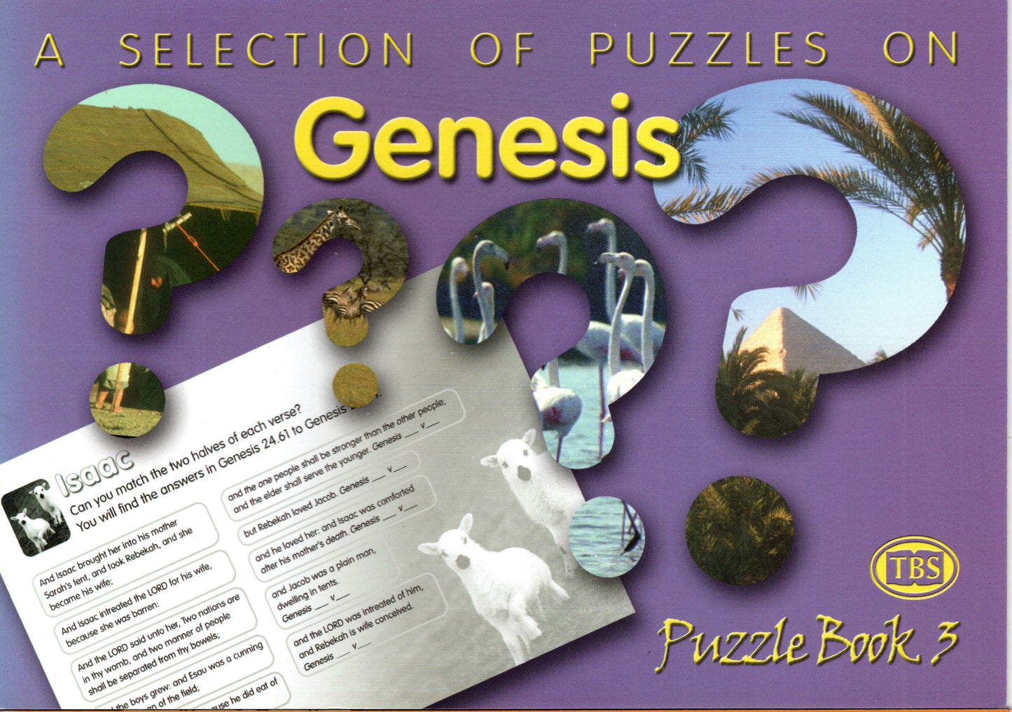 A Selection of Puzzles Book 3 - Genesis