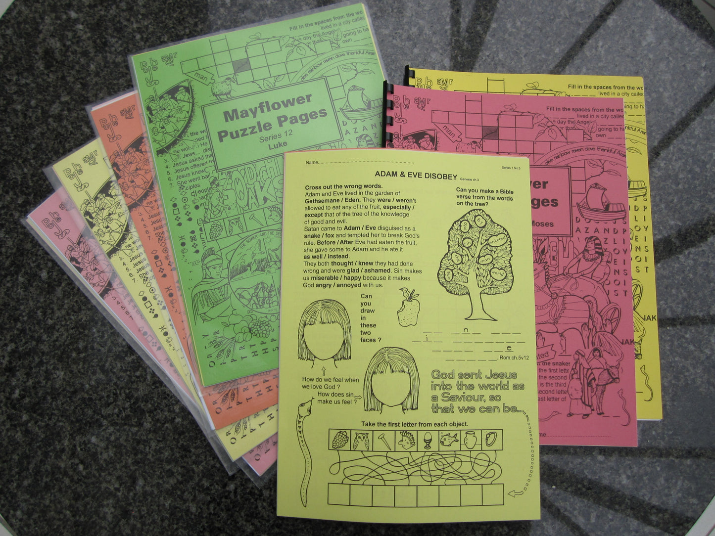 Puzzle Pages Series 6 by Frances Fountain