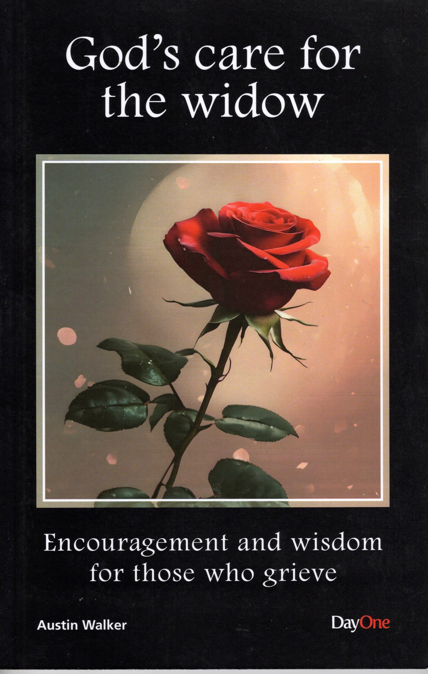 God`s care for the widow by Austin Walker