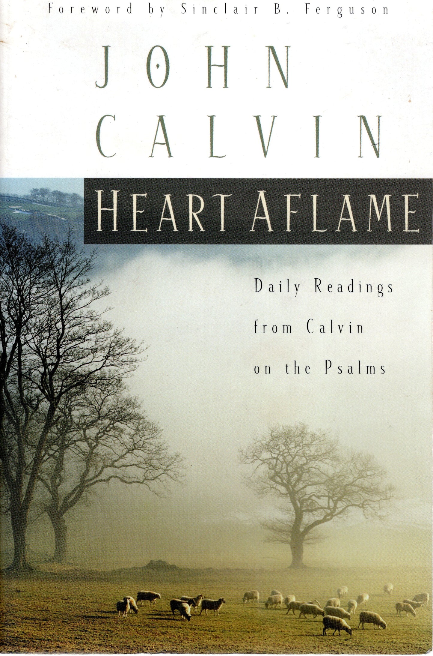 Calvin - Heart Aflame - John Calvin SH - Good condition