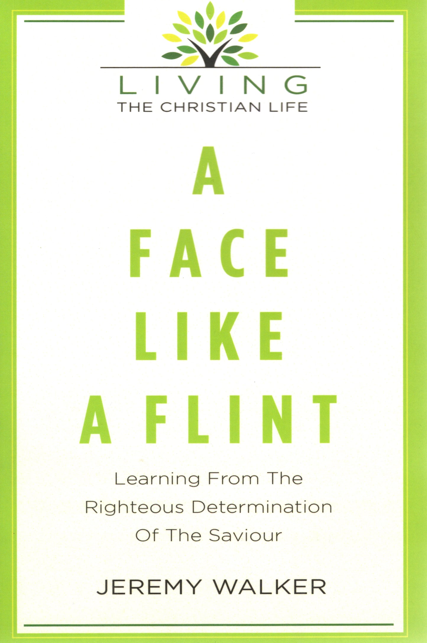 Face Like A Flint - Learning from the righteous Determination of the Saviour by Jeremy Walker