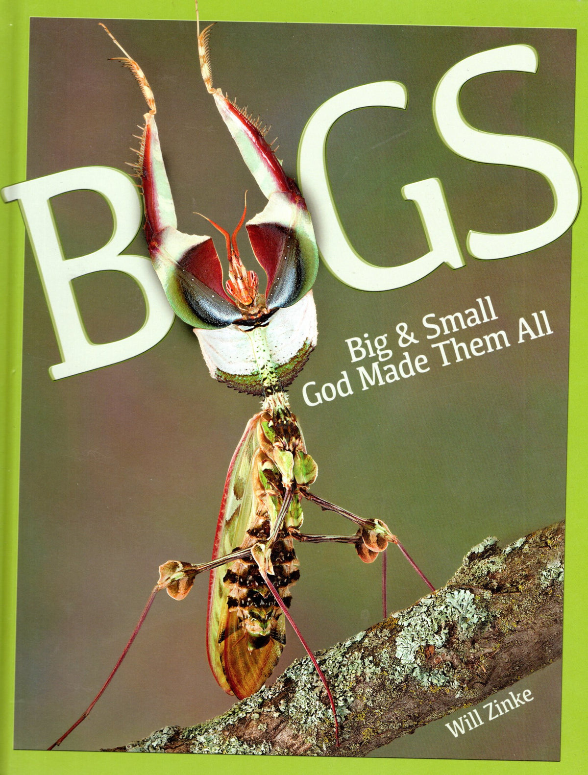 Bugs Big And Small by Will Zinke