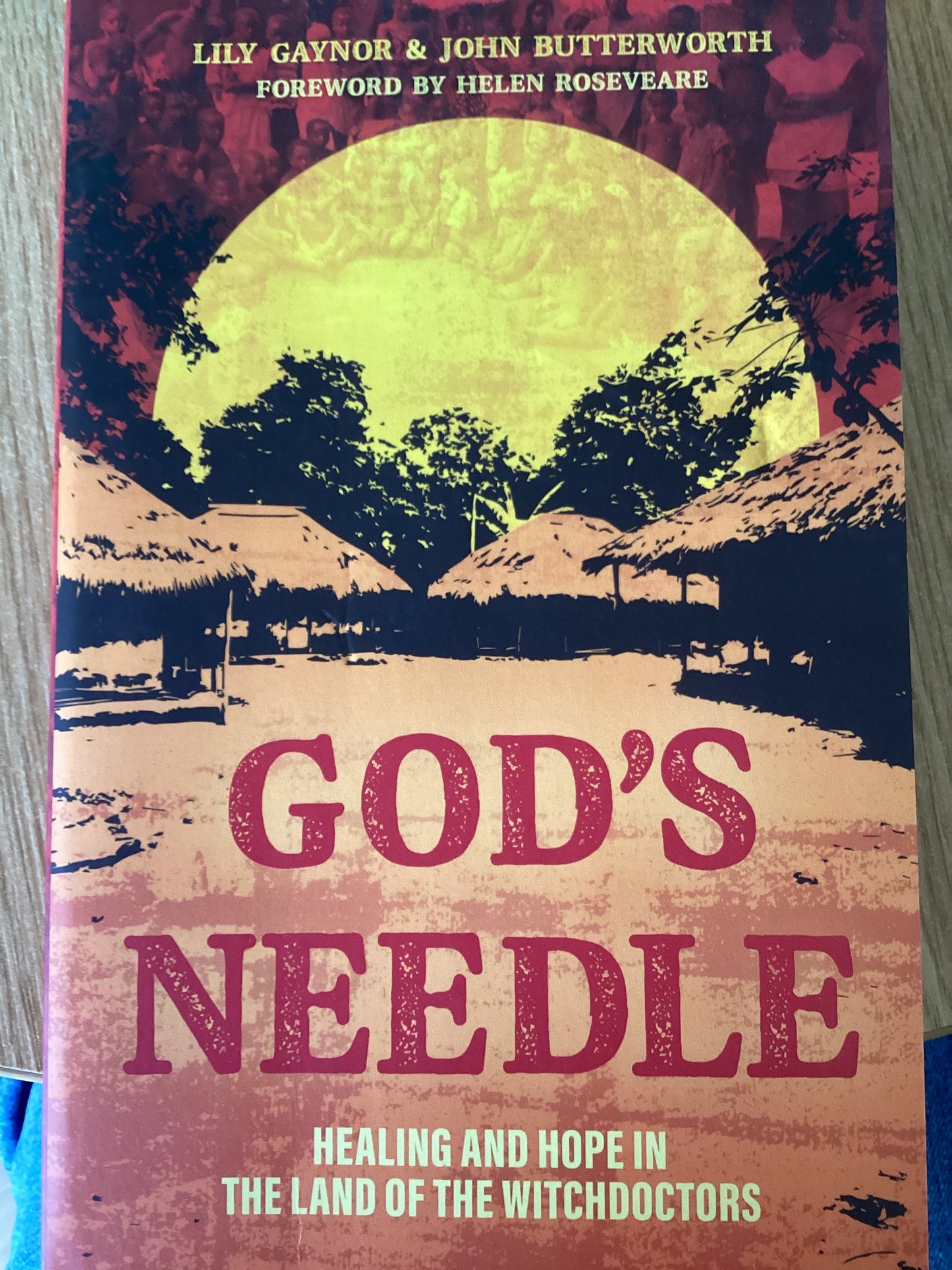 God's Needle - Lily Gaynor & John Butterworth - SH - Good condition