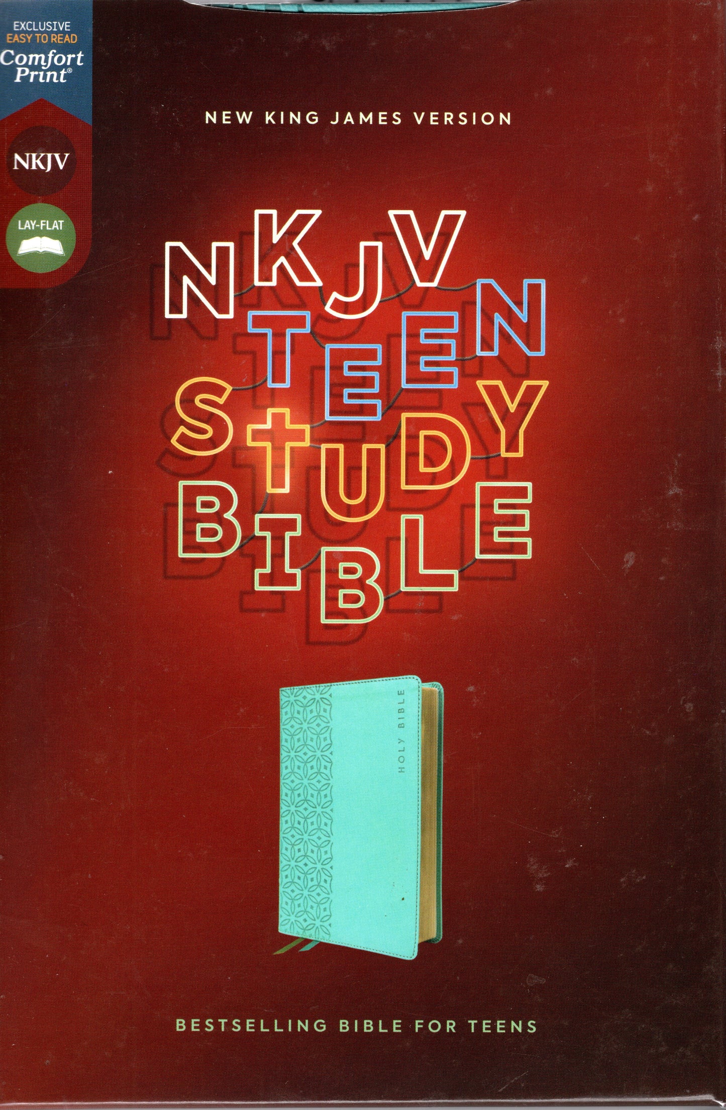 Teen Study Bible