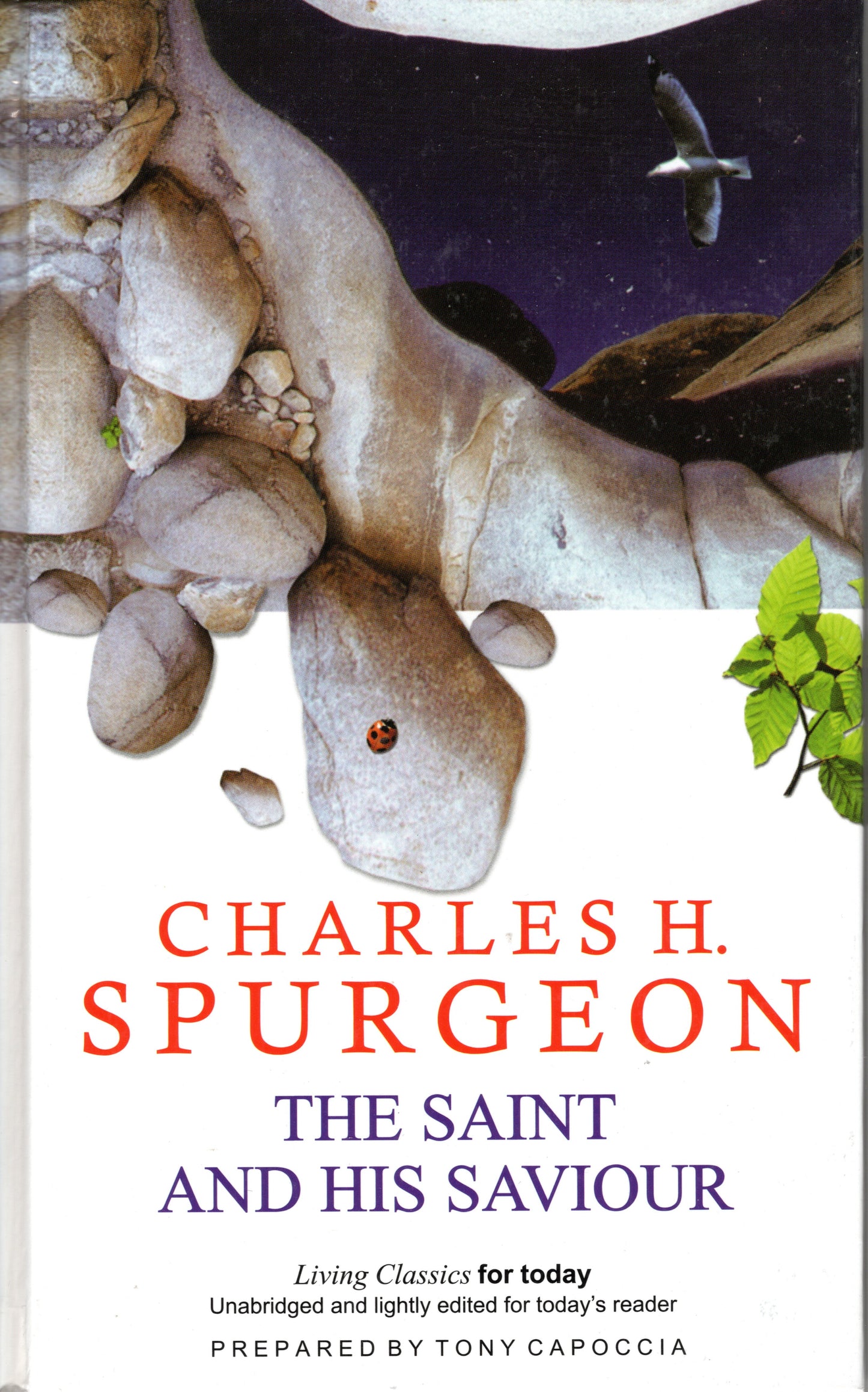 The Saint And His Saviour by Charles Haddon Spurgeon