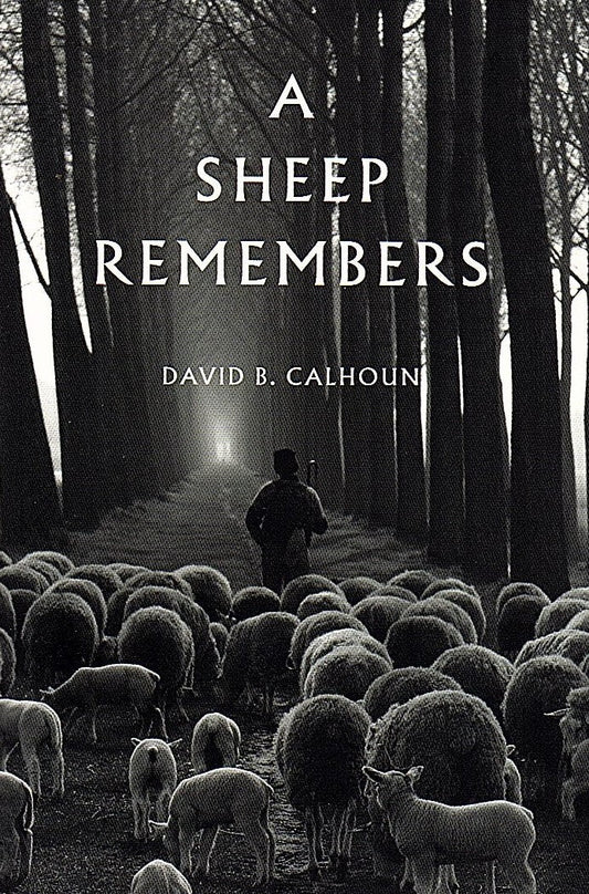 A Sheep Remembers by David Calhoun