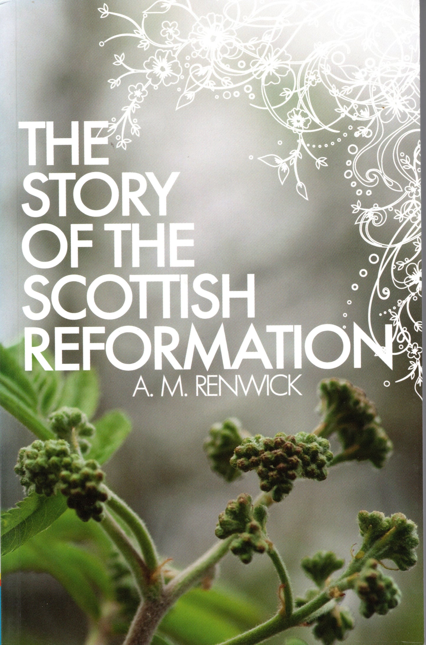 The Story Of The Scottish Reformation by A. M. Renwick