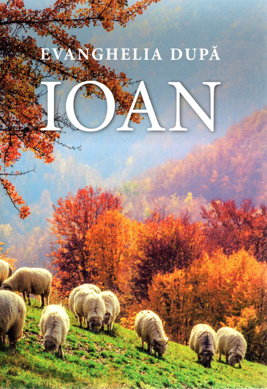 Romanian - Gospel according to John -KJV