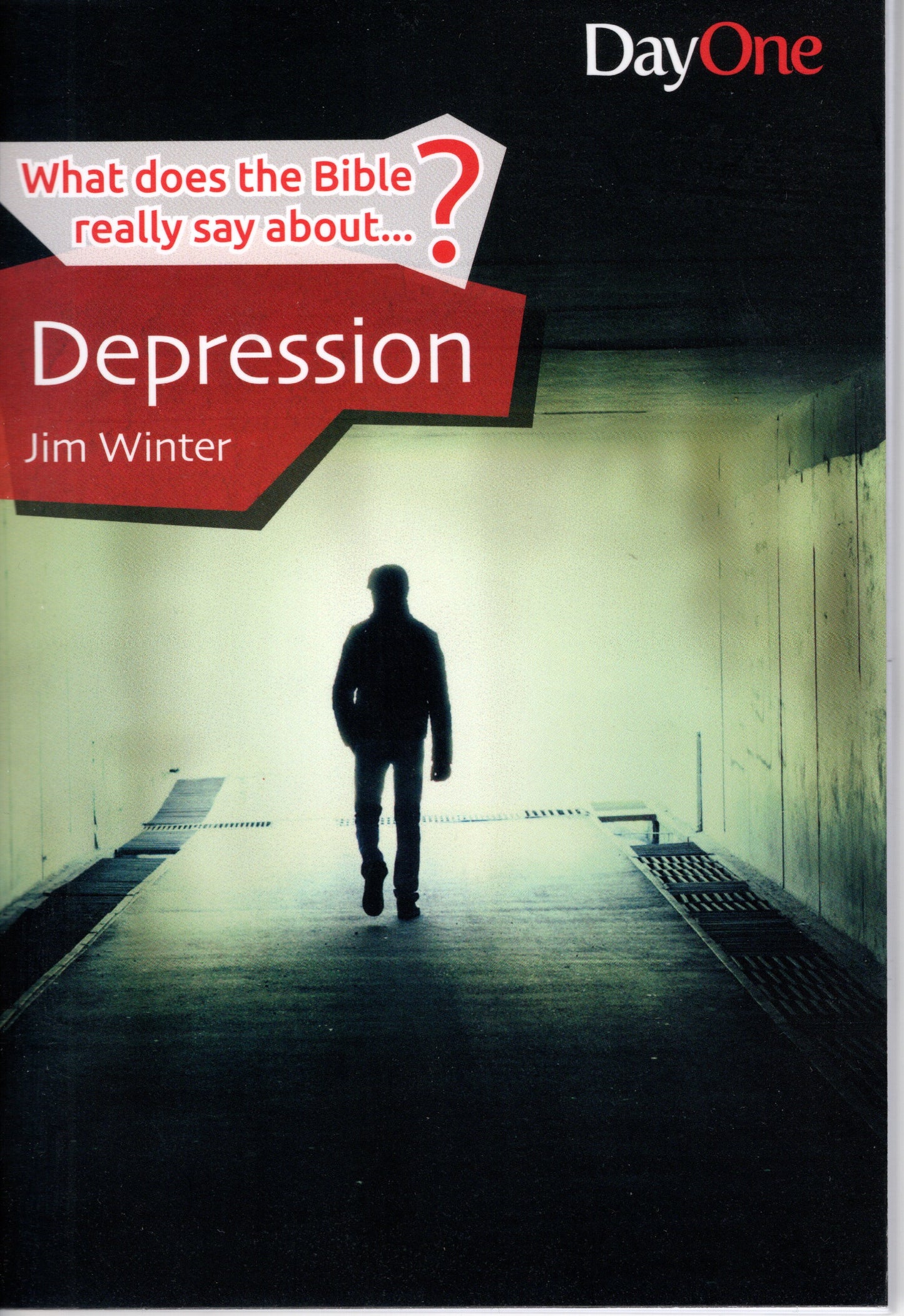 what does the Bible really say about...? Depression by Jim Winter