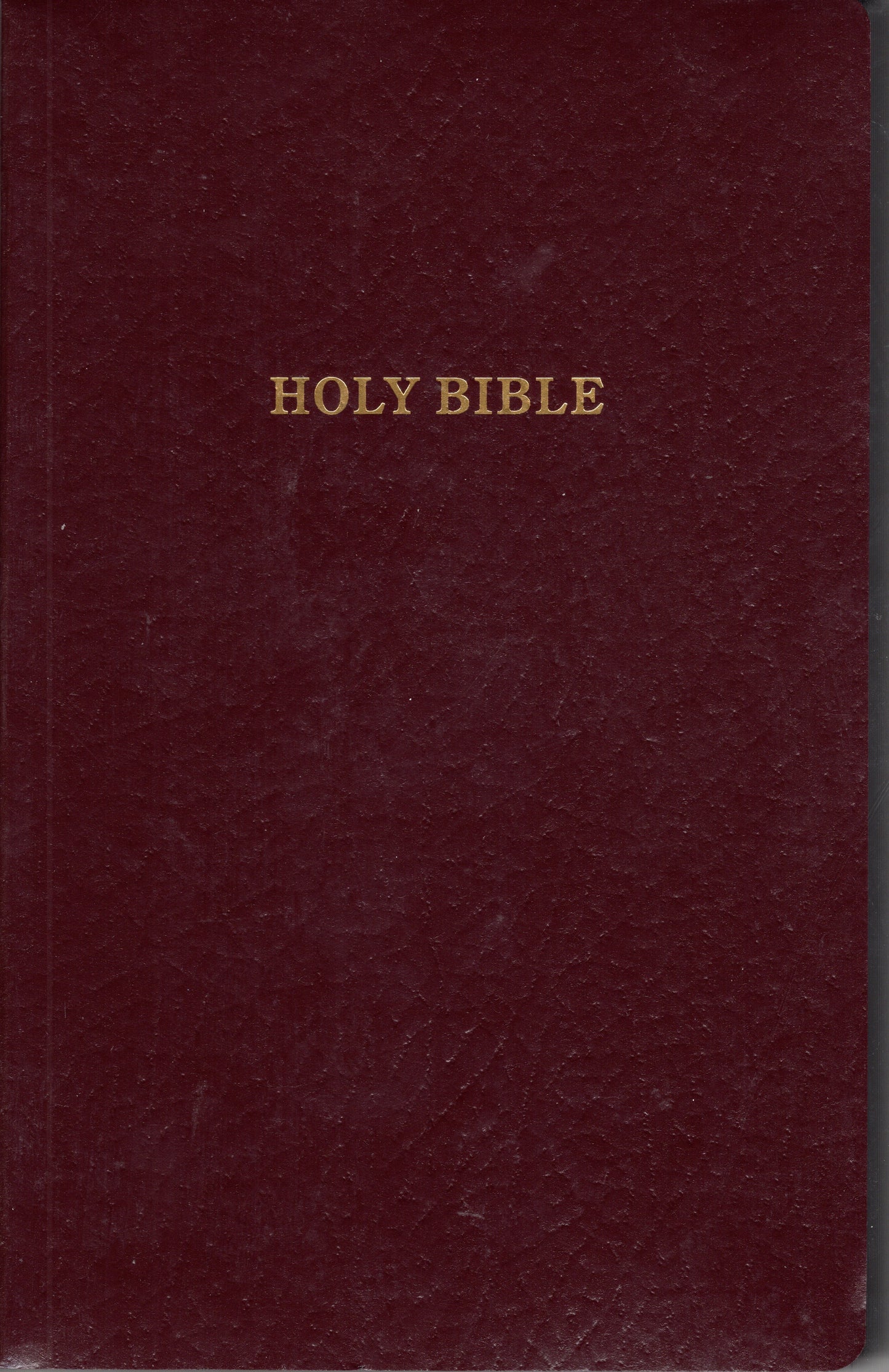 Gift & Award Bible KJV