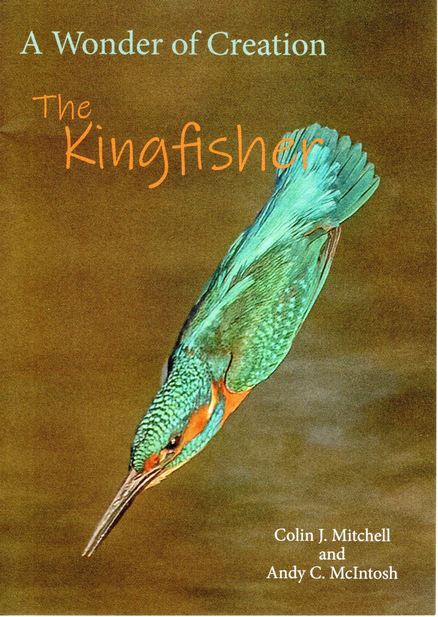 Wonder of a Kingfisher by Colin j Mitchell and Andy C. Mcintosh