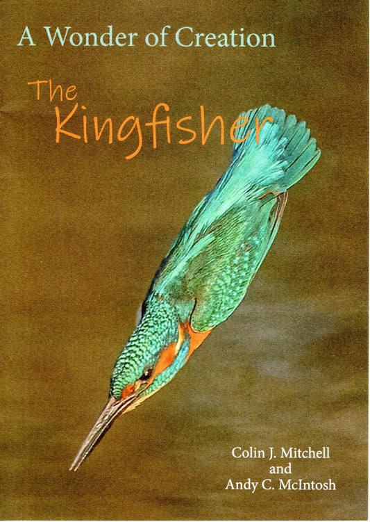 Wonder of a Kingfisher by Colin j Mitchell and Andy C. Mcintosh