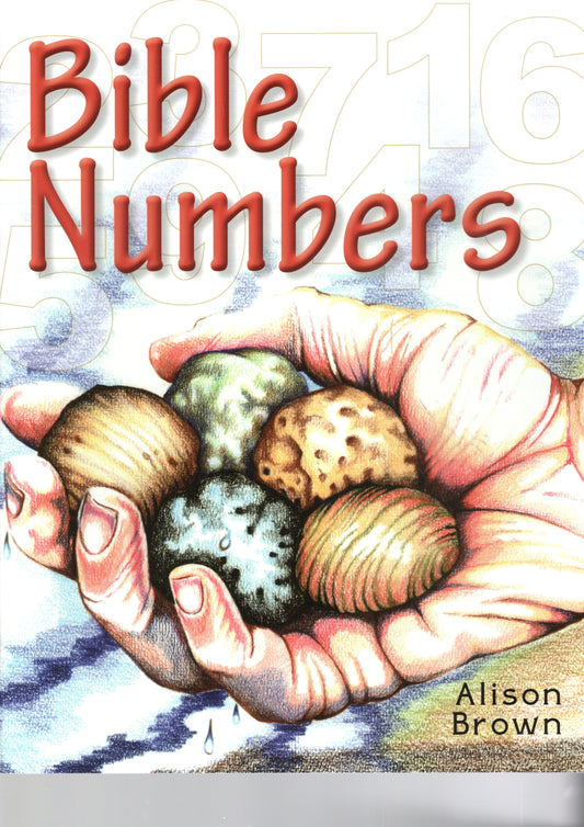 Bible Numbers by Alison Brown