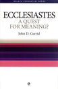 Ecclesiastes  A Quest For Meaning? - John D. Currid - SH - Very good condition