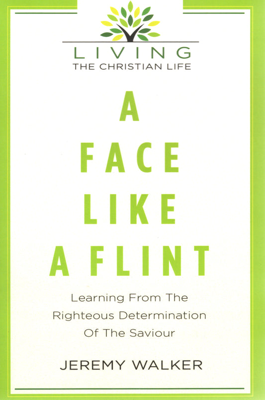 Face Like A Flint - Learning from the righteous Determination of the Saviour by Jeremy Walker