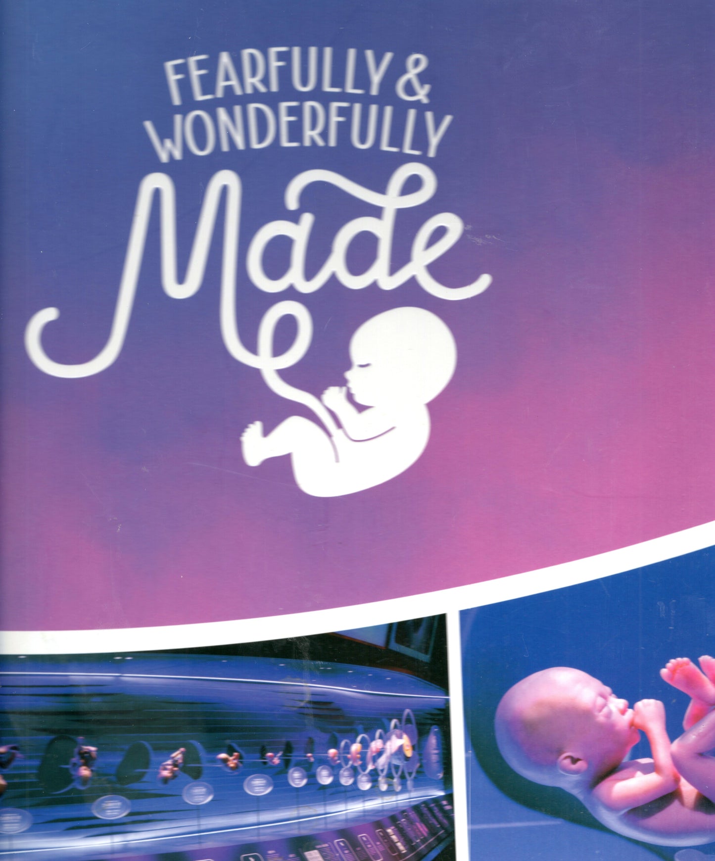 Fearfully and wonderfully made
